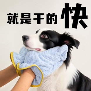 狗狗专用进门擦脚神器毛巾手套洗脚布洗澡吸水擦身体边牧浴巾擦干