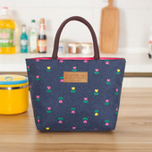 手提包女小包便当包防水女包新款 饭盒袋手提袋小布包包手拎妈咪包