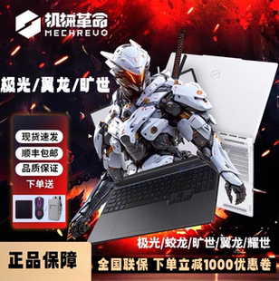 独显电竞学生游戏本笔记本电脑 RTX4060 机械革命极光Pro 旷世G