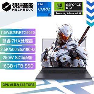 5060独显游戏本笔记本电脑 耀世RTX4060 机械革命蛟龙16Pro 极光X