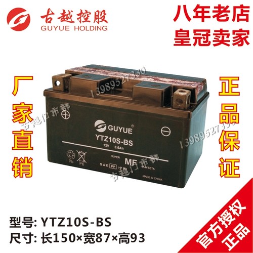 免维护蓄电池电瓶摩托车YTZ10S