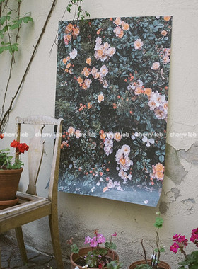 北欧蔷薇花卉客厅餐厅墙面装饰挂画高档玫瑰花ROSE海报装饰画相框