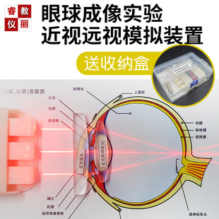 置近视眼老花眼形成纠正光学透镜器材 眼球成像实验近视远视模拟装