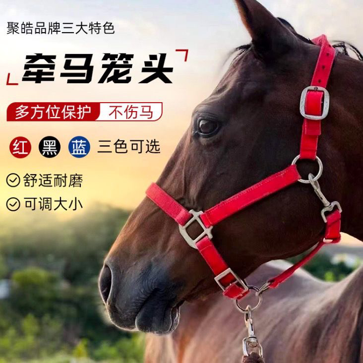 迪凯侬马具新款牵引马龙头马术用品龙套大小马鞍调教马笼头批发