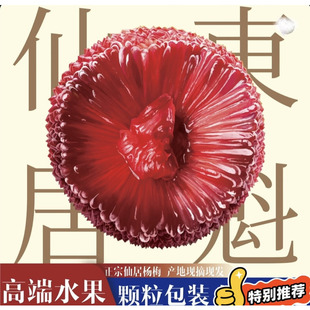 【仙居珊珊杨梅】正宗仙居东魁杨梅新鲜水果大杨梅当季现摘现发