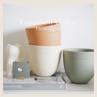 DOLV 豆绿 小蛋壳奶油系花盆 经典彩色花盆Color系列室内陶瓷花器