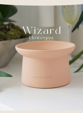 DOLV 豆绿 魔术师Wizard帽子花盆 韩国ins风魔法世界造型植物花器