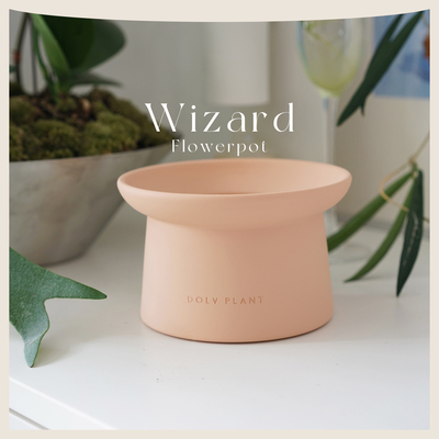 豆绿Wizard魔术师花盆
