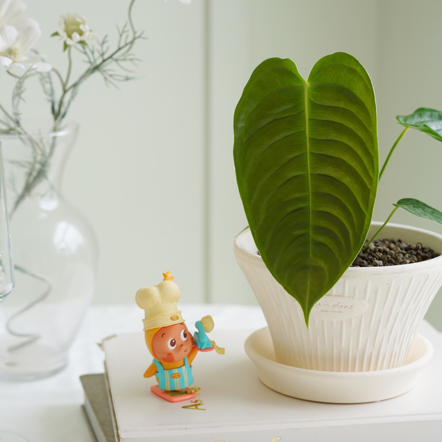 DOLV 豆绿 火鹤王花烛北欧风家居氛围感神器热带观叶植物桌面绿植