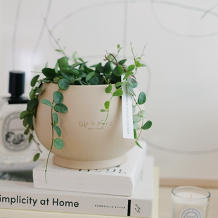 DOLV 豆绿 莫德尔经典花盆 北欧风巴黎画派家居园艺陶土花盆花器