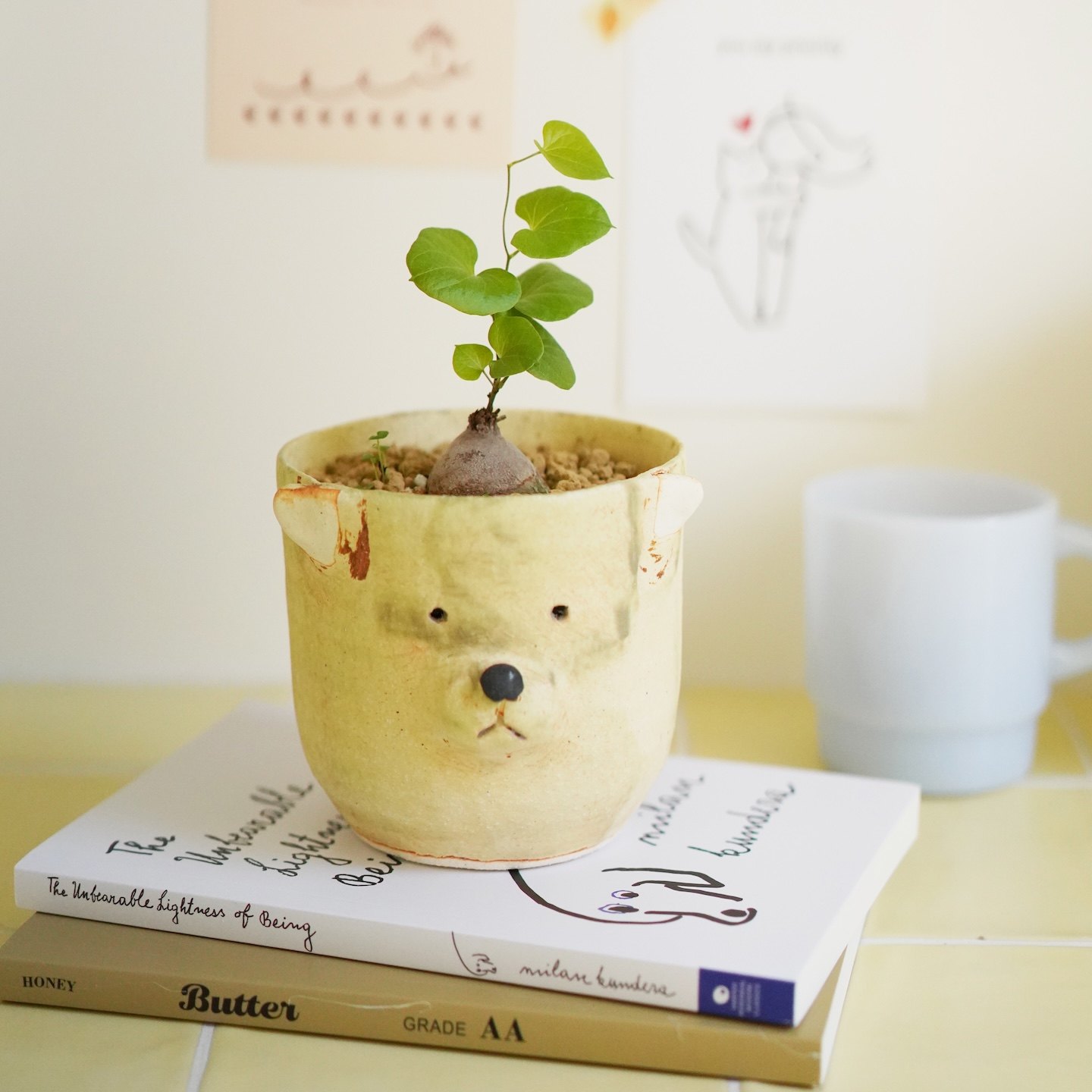 DOLV 豆绿 动物园可爱小盆栽 韩风温柔氛围多肉拍摄道具植物礼物