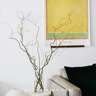 DOLV 北海道雪柳龙柳进口鲜切花枝家居室内森林系水养绿植 豆绿