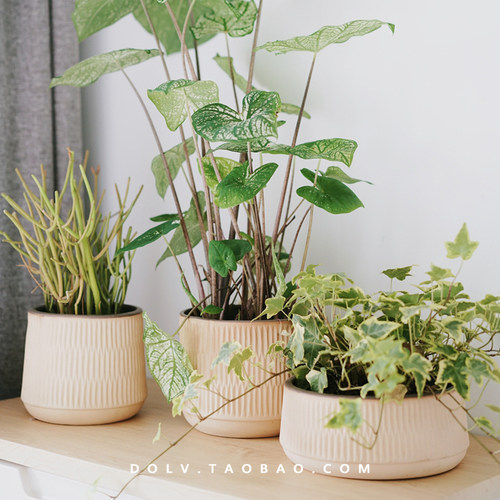 DOLV 豆绿 北欧艾洛夫花盆 经典磨砂质感 莫兰迪色系植物陶土花器 - 封面