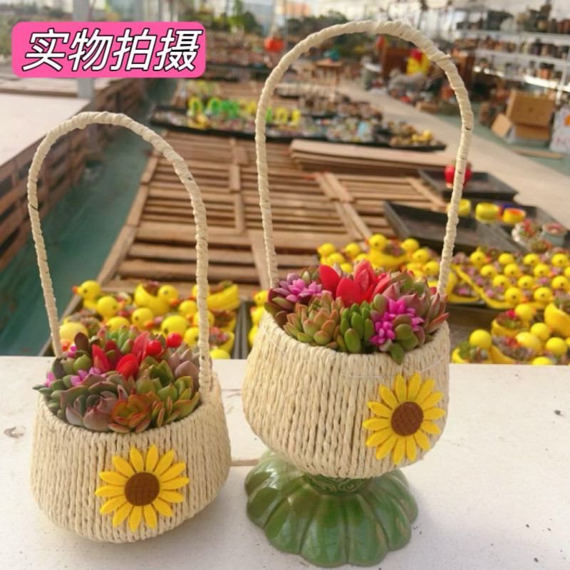 多肉植物组合手提篮盆栽室内乔迁情人节送老师生日礼
