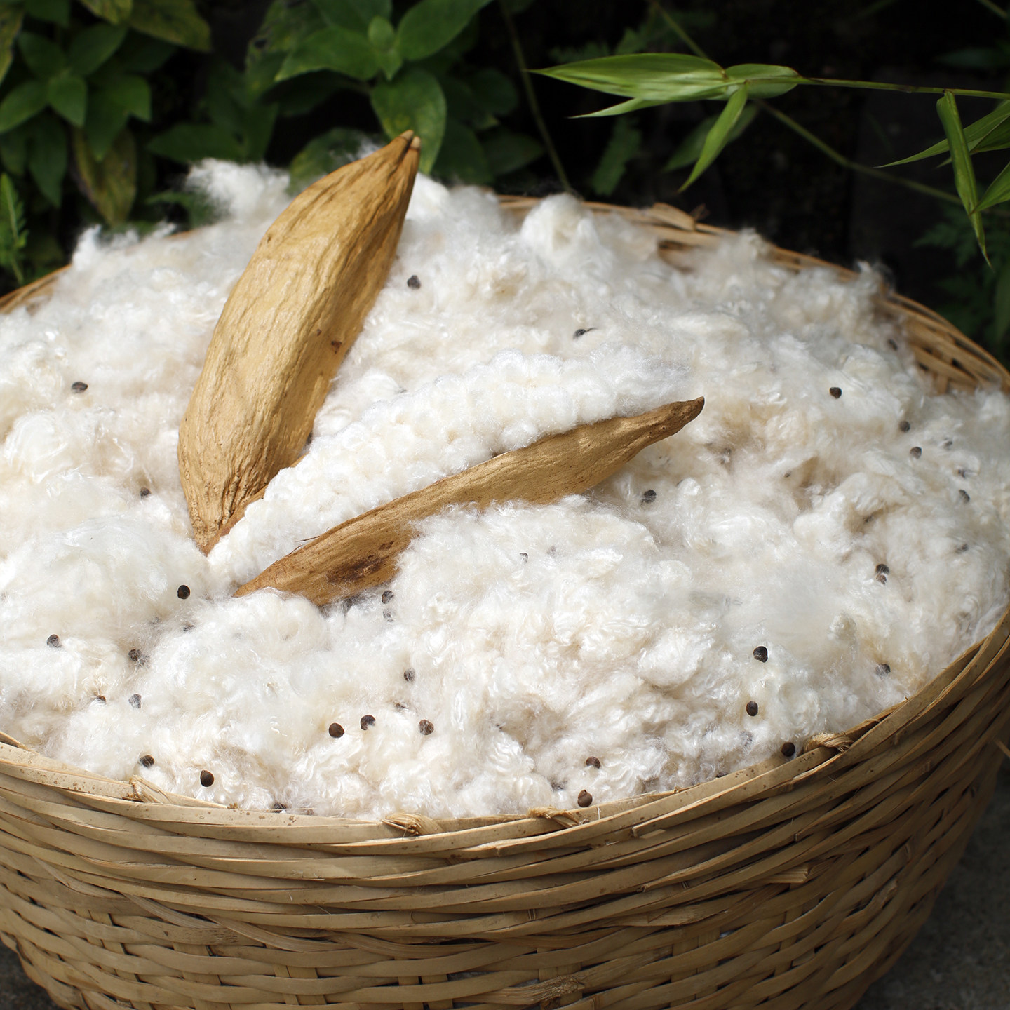 天然有籽木棉花海南带籽木棉有籽攀枝花养生枕头填充散装含籽木棉