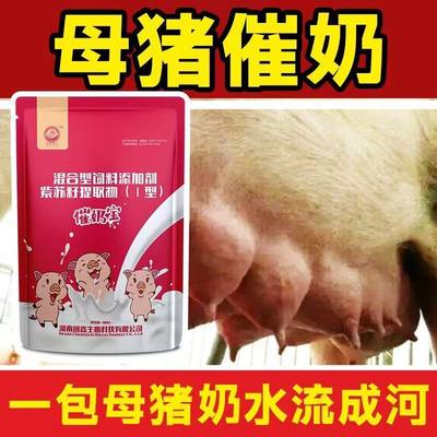 兽用奶水多奶优多奶肥奶多猪用母牛旺奶多爆奶催奶母猪 产后消炎