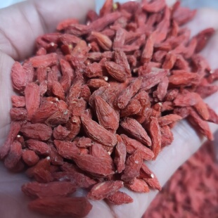 宁夏中宁枸杞子红枸杞250克包邮