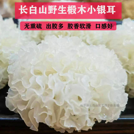 野生椴木小银耳长白山特产干货无硫新货白木耳雪耳500克