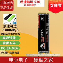 seagate希捷酷玩530ssd高速固态硬盘m2台式电脑nvme 1t/2t/4t tb