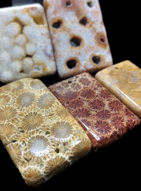 其他男女珊瑚玉骨骼花晶洞共生