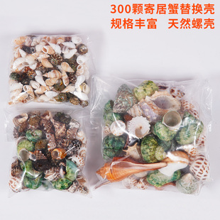 寄居蟹替换壳专用豆丁灰白草莓螃蟹房子天然海螺壳鱼缸水族装饰