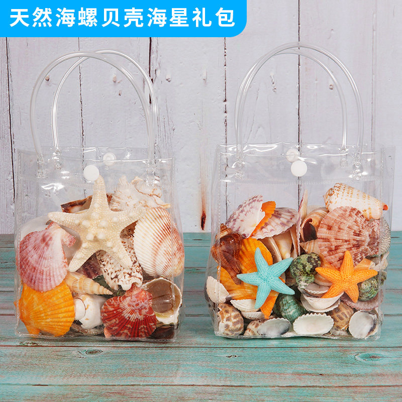 天然贝壳海螺壳海星鱼缸水族箱地台造景装饰摆件儿童科教礼物包邮