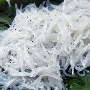 大连小银鱼新鲜海鲜鲜活冷冻面条鱼白饭鱼银鱼海鲜辅食鱼4.5斤