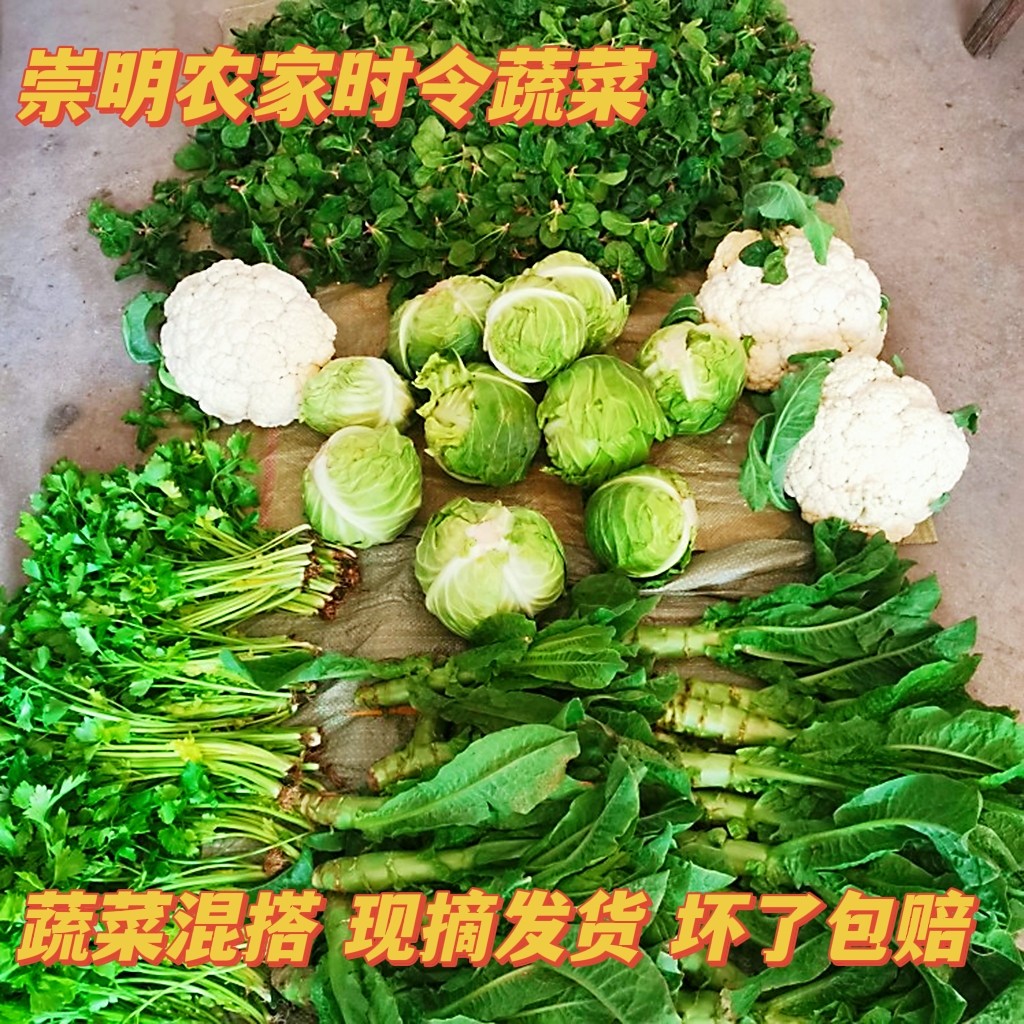 崇明农家菜 混搭组合 随机搭配当季新鲜蔬菜 农家肥种植现摘发货