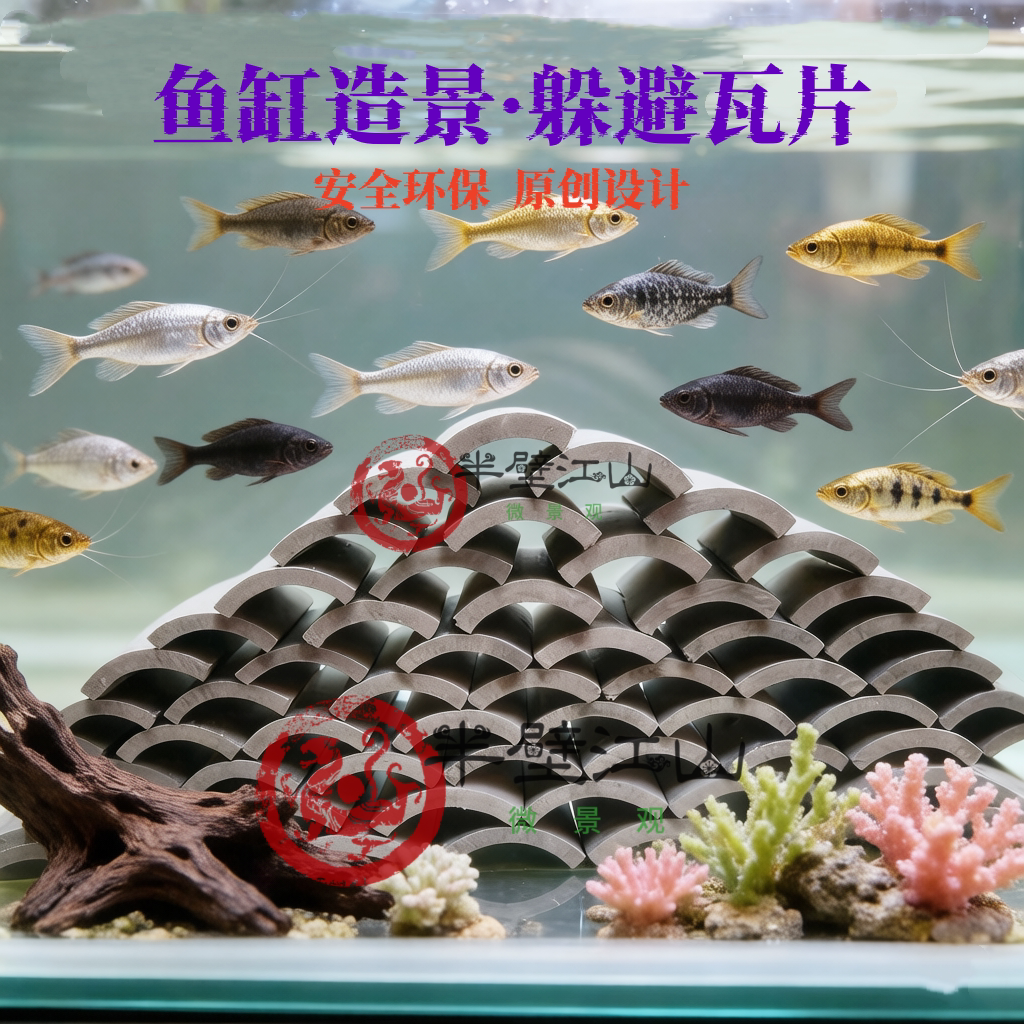 乌龟躲避屋爬宠洞穴瓦片图片