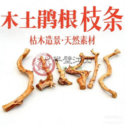 杜鹃根枝条泰国枝粗枝条小树根天