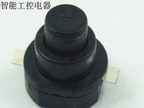 轻触开关PBS-101-VT