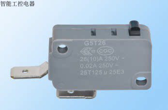 微动开关 G5T26-C1P200