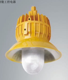 BPC8710防爆平台灯