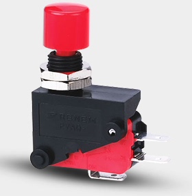 面板安装式按钮型微动开关 RVAQ