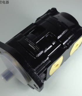 双联齿轮泵KP30.24-A8K9-LMD