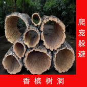 爬宠造景香槟树洞躲避屋蓝舌躲避巨人鬃狮睫角豹躲避造景雨林用品