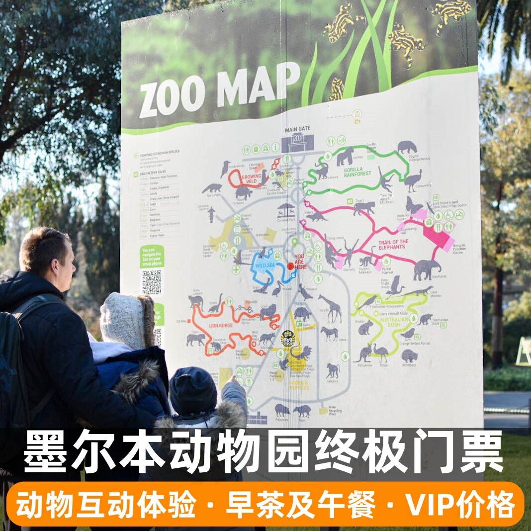 墨尔本动物园体验门票含动物互动体验+导赏团+早茶及午餐凭证