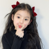 女童洋气发夹 秋冬新款 立体丝绒边夹对夹儿童 蝴蝶结新年头饰发饰