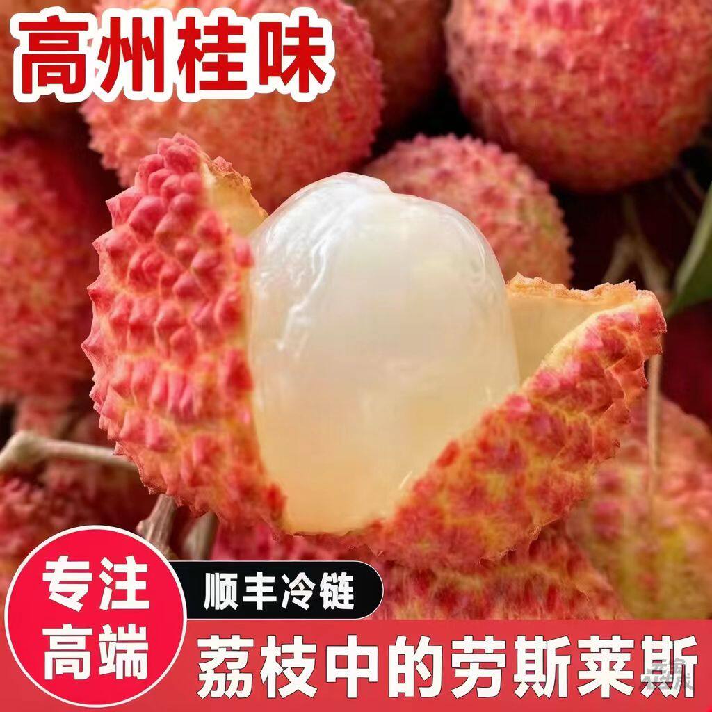 广东高州白糖罂荔枝新果礼盒包邮
