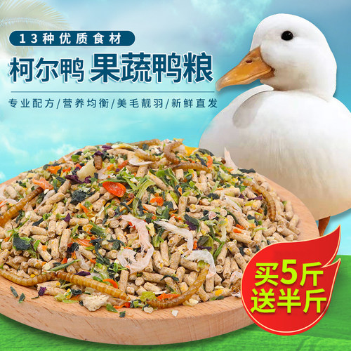 柯尔鸭粮优贝斯鸡鸭鹅科尔鸭饲料