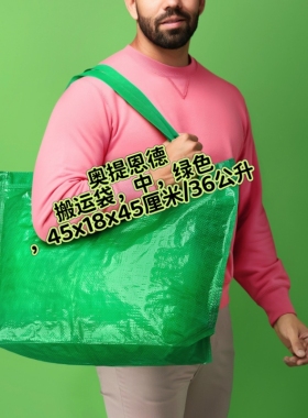 正品IKEA宜家斯隆霍托特搬运袋购物袋手提袋环保购物袋绿色36升