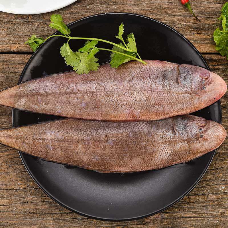 东山岛沈船长自捞自销野生牛舌鱼/龙力鱼/踏板鱼营养一条一斤左右