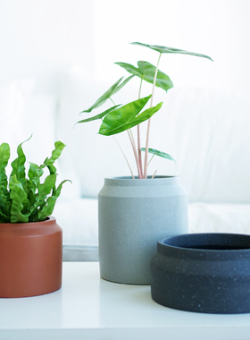 北欧水泥花盆多肉大口径陶土矮盆陶瓷块根山乌龟侘寂风灰色套盆