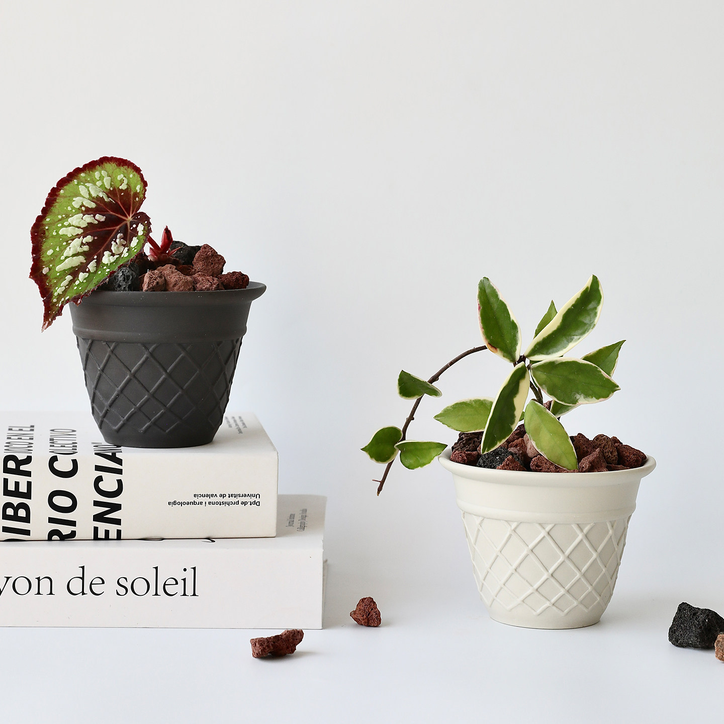 迷你可爱甜筒小花盆陶瓷陶盆白色多肉盆栽球兰透气黑色陶土奶油风,鲜花速递/花卉仿真/绿植园艺,花盆,淘宝优惠券,粉丝福利购,淘宝优惠卷