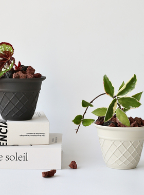 迷你可爱甜筒小花盆陶瓷陶盆白色多肉盆栽球兰透气黑色陶土奶油风