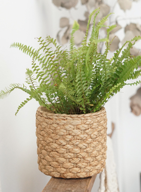 日式仿编织水泥花盆复古篮子蝴蝶兰藤编创意草编陶瓷套盆大号兰花