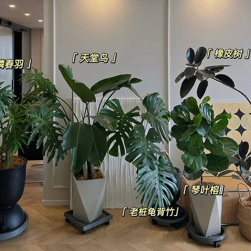 北欧设计创意花盆超大