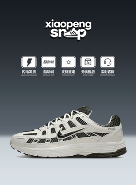 Nike耐克男鞋P-6000银灰色运动休闲鞋网面复古老爹鞋 IO8711-101