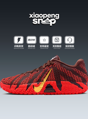 NIKE耐克男鞋篮球鞋26春季新款健身训练鞋休闲鞋运动鞋IB6509-200