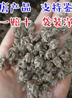 正品天然河南水洗猫爪草
